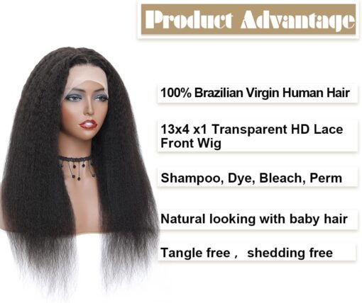 Kinky Straight Wig Human Hair Natural Blowout Look Volume