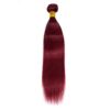Burgundy Human Hair Bundles Straight Bold Color Sleek Style