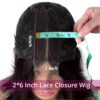 2x6 Lace Closure Straight Human Hair Wig Sleek Look Natural