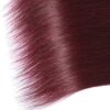 Burgundy Human Hair Bundles Straight Bold Color Sleek Style