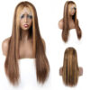 Honey Blonde Wig with Highlights Straight Sleek Human Hair