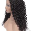 Water Wave Human Hair Wig Soft Curls Natural Lace Front