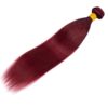 Burgundy Human Hair Bundles Straight Bold Color Sleek Style