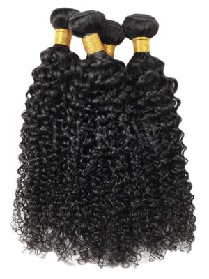 Kinky Curly Bundles with Closure Virgin Hair