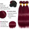 Burgundy Human Hair Bundles Straight Bold Color Sleek Style