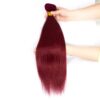 Burgundy Human Hair Bundles Straight Bold Color Sleek Style