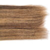 Highlights Tape In Hair Extensions Natural Dimensional Color