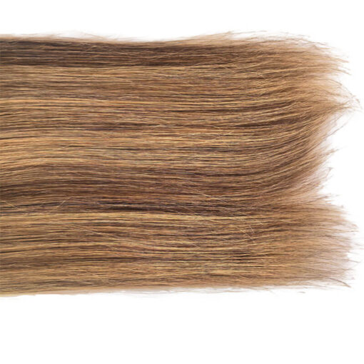 Highlights Tape In Hair Extensions Natural Dimensional Color