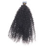 Kinky Curly Tape In Hair Extensions HumanHair Natural Volume