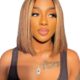 Honey Blonde Bob Wig with Highlights T Lace Front Sleek